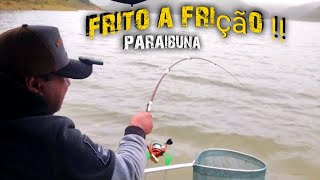 as tilapias de paraibuna ,frito minha frição,esse chicote pega muito,pescaria de ultralt na batida.