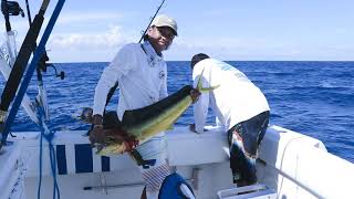 Mahi mahi fishing aboard the Shelbydee in Belize