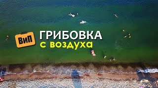 Грибовка с воздуха | Море, пляж и базы отдыха