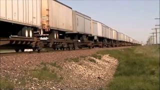 BNSF Hot Shot Z Train on the Stockton Subdivision in Escalon, CA