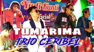 TRIO CERIBEL || TUMARIMA @ YUDI KUNTI OFFICIAL LIVE SANCANG