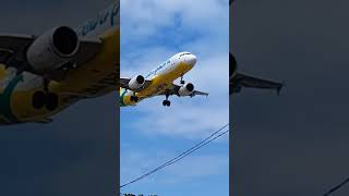 #cebupacificairline