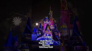 Magic Kingdom Walt Disney World Happily Ever After Fireworks #disneypark #disneyworld