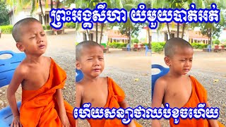 ព្រះអង្គសីហា យំមួយបាត់អត់ ហើយសន្យាថាឈប់ខូចហើយ😂🤣