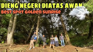 GOLDEN SUNRISE SIKUNIR