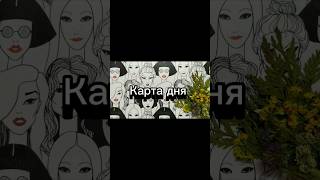 🌼Карта дня #таро #предсказание #прогноз #tarot #таролог