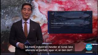 "Carnage in the Seas": PR nightmare for Norwegian salmon live on TV