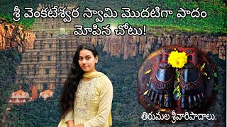 తిరుమల Vlog // శ్రీవారిపాదాలు // తిరుపతి //Travel Vlog// Telugu Vlog// #truefoxy #tirumala #tirupati