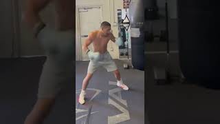 Teofimo Lopez Working on Bag 💥