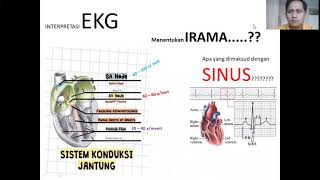 Part 1 : SINUS