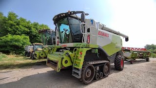 Agrovlog #3- Mlátime repky na morave LEXION 670