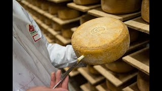 Fromagerie Agour - le savoir-faire fromager