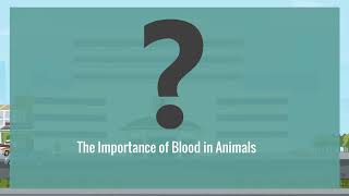 Why do animals have blood?