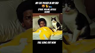 My Cat P'issed In My Bed (F'uck You Mr.Kittlez Again) Out Now #ai #aimusicvideo #rarevinyl