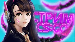 CS:GO STREAM👑СТРИМ КС ГО💣ДЕВУШКА СТРИМЕР♥ИГРАЮ С ПОДПИСЧИКАМИ👑Silver vs Global💣VAC💣Cheats👑прайм♥game