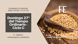 Domingo 27º del Tiempo Ordinario   Ciclo C