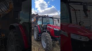 Massey 5711 ile Pancar sökümü