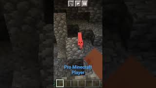 Minecraft But ur Pro #Viral