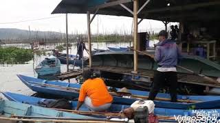 Mancing santuy di semurup rawapening