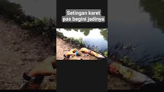 ketapel ikan gulungan manual #ketapel_ikan #slingshot_fishing