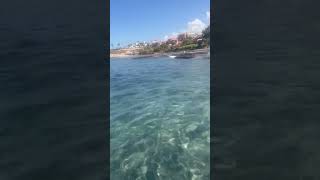 🏝️ Amaizing clear water in Playa de Fanabe , Tenerife 🏝️ #tenerife #playafanabe