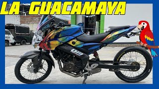 🦜LA PULSAR  NS mas RAPIDA del MUNDO😨🌎😈((LA GUACAMAYA)) RECORD Latinoamericano ⏱⏱⏱