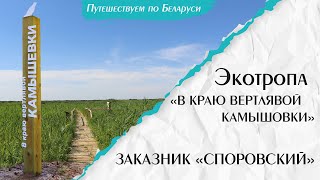 Заказник Споровский Березовский район: Экотропа "В краю вертлявой камышевки" | Отдых в Беларуси