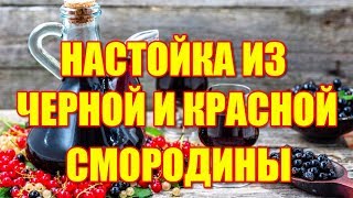 Настойка из черной и красной смородины