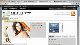 Premium News Wordpress Theme woothemes tutorial