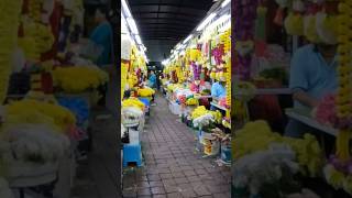 Diwali in Malaysia | Little India KL | Deepavali celebrations #shorts #india #diwali #diwali2024