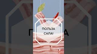 А вы знали на сколько полезно САЛО?