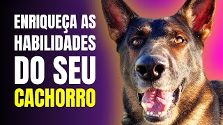 Passo a passo DETALHADO para ensinar esse SUPER EXERCÍCIO para seu CACHORRO!