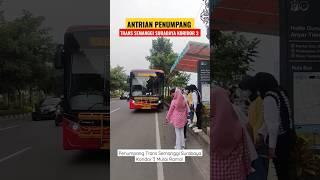 Penumpang Trans Semanggi Surabaya Koridor 3 🔥 Mulai RAMAI ‼️