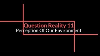 Question Reality 11 - Perception of Our Envrionment