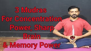 3 Mudras For Concentration Power, Sharp Brain & Memory Power