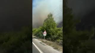 Son Dakika İzmir'de yangın