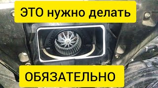 Что Там За Непонятная Проблема с ГАЗЕЛЬ НЕКСТ ПЕЧКОЙ?!