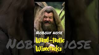 Wand-tastic Wisecracks | Glasses