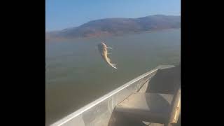 Lake Meridith Fishing May 2022