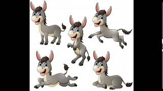 Donkey - susu TV - Learning videos for kids