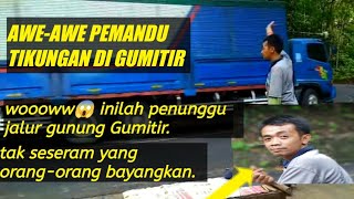 AWE-AWE JALUR GUMITIR ‼️pemandu Tikungan yang berada di jalur gunung Gumitir.