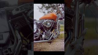 Shovelhead on film 🍊🎞️