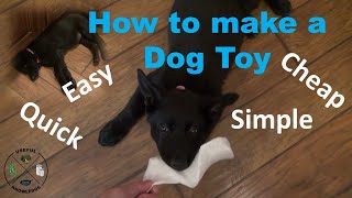 DIY Dog Toy | Useful Knowledge