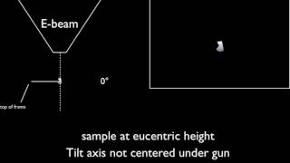 eucentric schematic