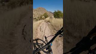 It's trails like this that put Arizona on the MTB map.