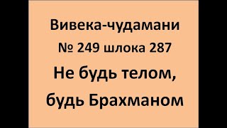 ВивекаЧудамани курс Свамини Видьянанды Сарасвати 249 шлока 287 Не будь телом, будь Брахманом