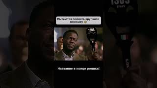 Пытаются поймать крупного воришку #кино #фильмы #сериалы