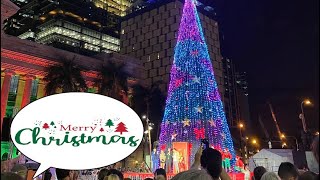 Lord's Mayor Lighting of the Christmas Tree Brisbane