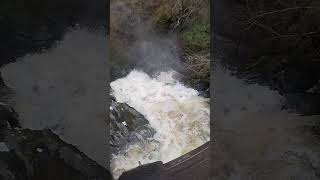 Birks of Aberfeldy After The Storm #waterfall #scotland #nature