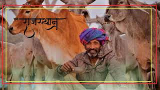 Best Rajasthani Satuts 2020||HD WhatsApp Satuts|| Shyam Paliwal New Song||Marwadi Satuts